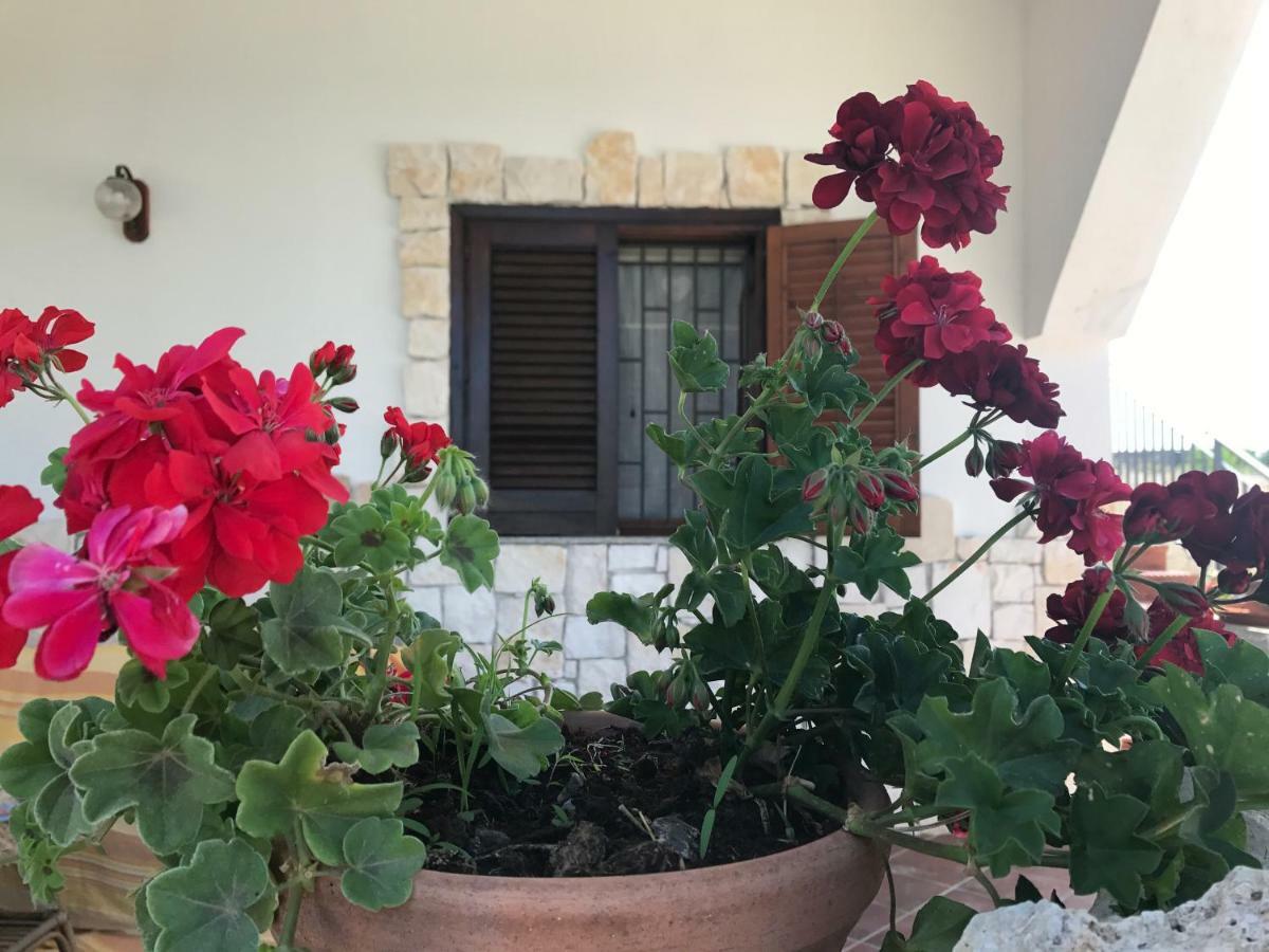 Villa Rosa - Ai Piedi Dell'Etna Бруколи Екстериор снимка